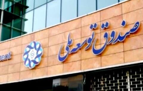 صندوق توسعه ملی تشکیل شد تا دولت مثل حساب ذخیره ارزی با آن صندوق توسعه ملی تشکیل شد تا دولت مثل حساب ذخیره ارزی با آن رفتار نکند