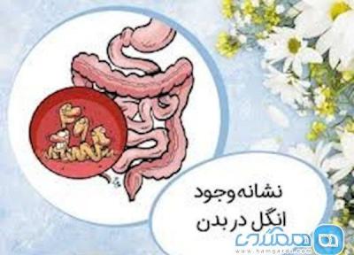 علائم وﺟﻮد اﻧﮕﻞ در بدن چیست؟