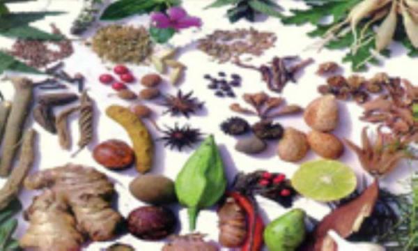 آشنایی اجمالی با گیاهان دارویی (1)