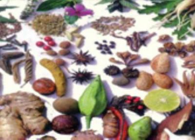 آشنایی اجمالی با گیاهان دارویی (1)