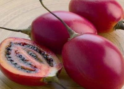 تاماریلو و خواص آن