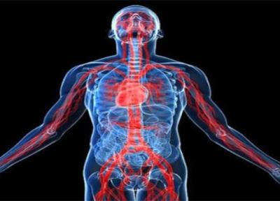 11 عضو که بدون آنها هم می توان زندگی کرد